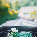 Donaublick Mit Pool Und Garten * Sankt Nikola an der Donau