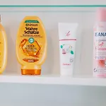 Donaublick Mit Pool Und Garten