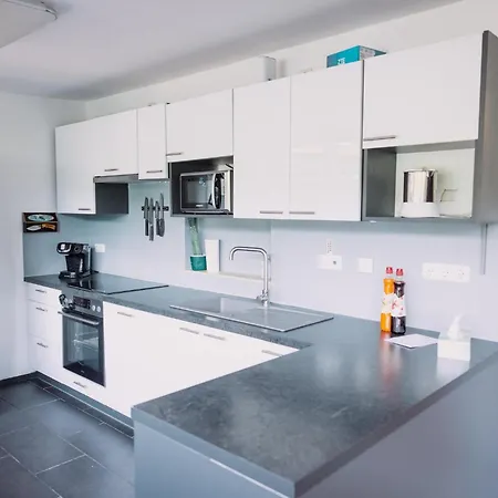 Donaublick Mit Pool Und Garten Feriehus Sankt Nikola an der Donau