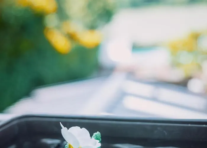 Donaublick Mit Pool Und Garten * Sankt Nikola an der Donau